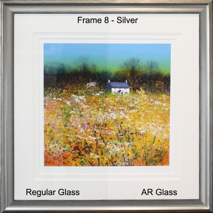 AR Glass PEv