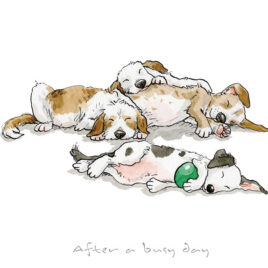 After A Busy Day by Anita Jeram