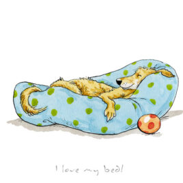 I Love My Bed by Anita Jeram