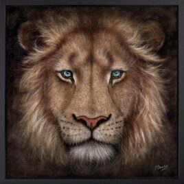 Soul Searching, lion, by Colin Banks