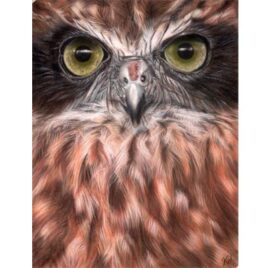 Cuckoo Owl Valerie Simms