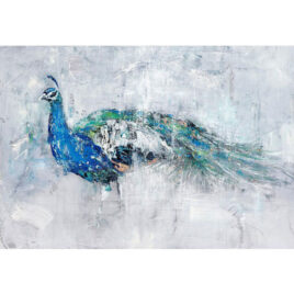 Peacock by Josie Appleby