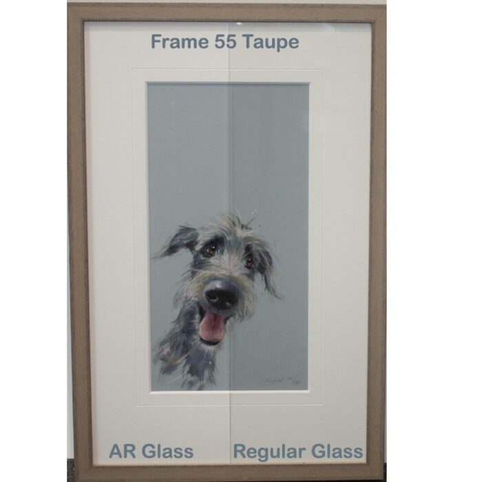 NL AR Glass