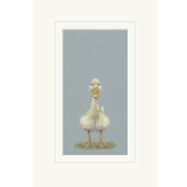 Quackers, little duckling limited edition print by Nicky Litchfield