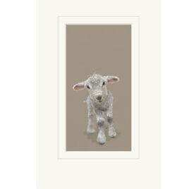 Pascal, Lamb, limited edition print, by Nicky Litchfield