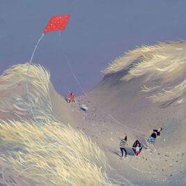 Red Kite Jenny Murphy