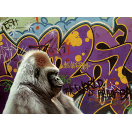 Urban Gorilla By Paul James X