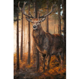 Forest Gaze Stag by Anthony Dobson