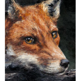 Red Fox Study by Anthony Dobson