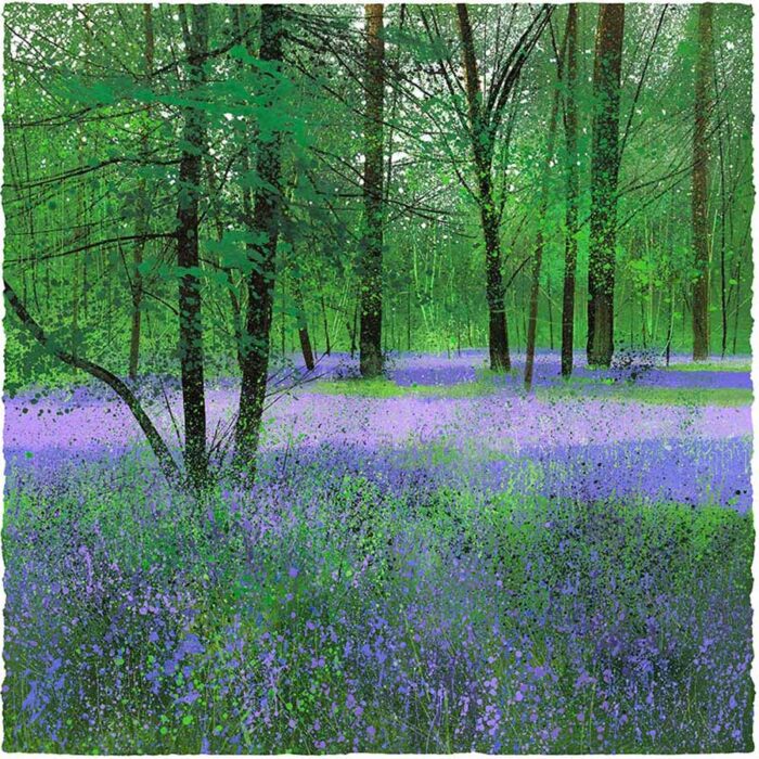 Birdcall and Bluebells, by Paul Evans