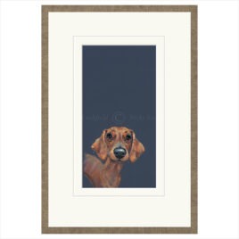 Sausage, by Nicky Litchfield