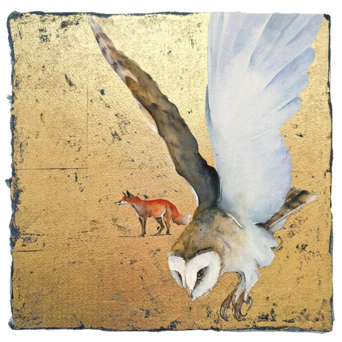 In the Evening flies the Owl, by Jackie Morris