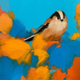 Long Tailed Tit, by Heidi Langridge