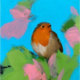 Robin in Blue with Pink, by Heidi Langridge